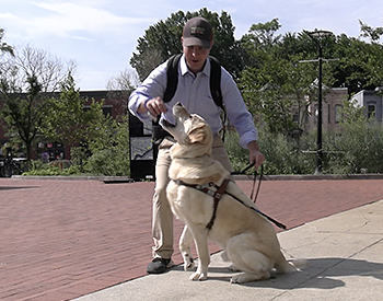 In the red brick Eastern Market Metro plaza, Hogan sits by Pat alertly with his front paws barely touching the ground. He's got his mouth wide open in anticipation as Pat starts to give him his hotdog treat. There are a few wispy white clouds in a bright blue sky. Pat has on a solid blue dress shirt, black baseball hat, and khakis.