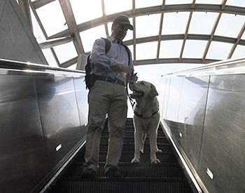 Pat and Hogan are heading down the escalator from the plaza into the Metro. Hogan stands a step behind Pat and looks up to him. Pat holds Hogan's leash. A bit of morning sun filters through the escalator's iconic glass canopy. Hogan's training clicker is on Pat's wrist and black treat bag can be seen buckled to his belt.