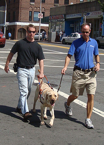 Galahad and his trainer Graham show Pat the ropes on a sunny day in early fall in the New York City suburbs. Graham and Galahad lead the way across the street while Pat, wearing a black t-shirt, jeans, and sunglasses, follows.